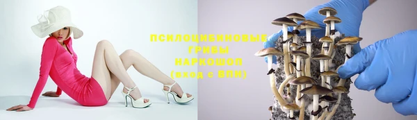 экстази Заводоуковск