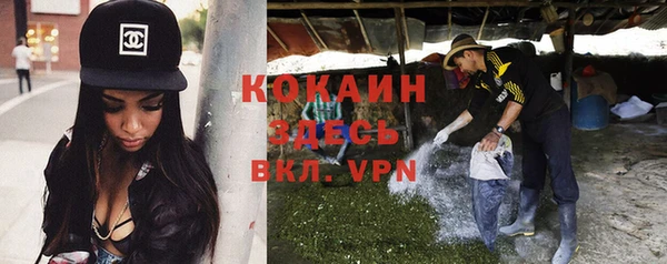 ПСИЛОЦИБИНОВЫЕ ГРИБЫ Заволжск
