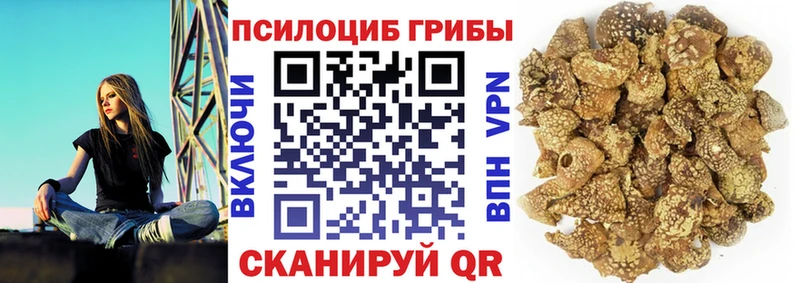 блэк спрут как зайти  Спас-Клепики  Псилоцибиновые грибы мицелий 